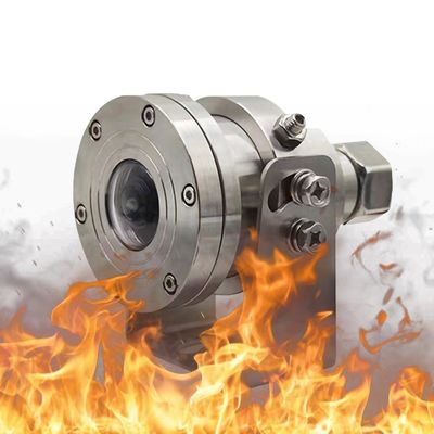 4K CCTV Anti-Explosion Fisheye PTZ Kamera Edelstahl für Lastwagen Eingebaut in MIC Starlight IR